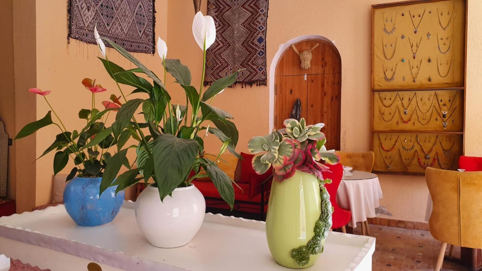 Riad Golf Stinia 2 Meknès Dış mekan fotoğraf